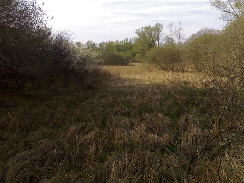 200704091763 .jpg